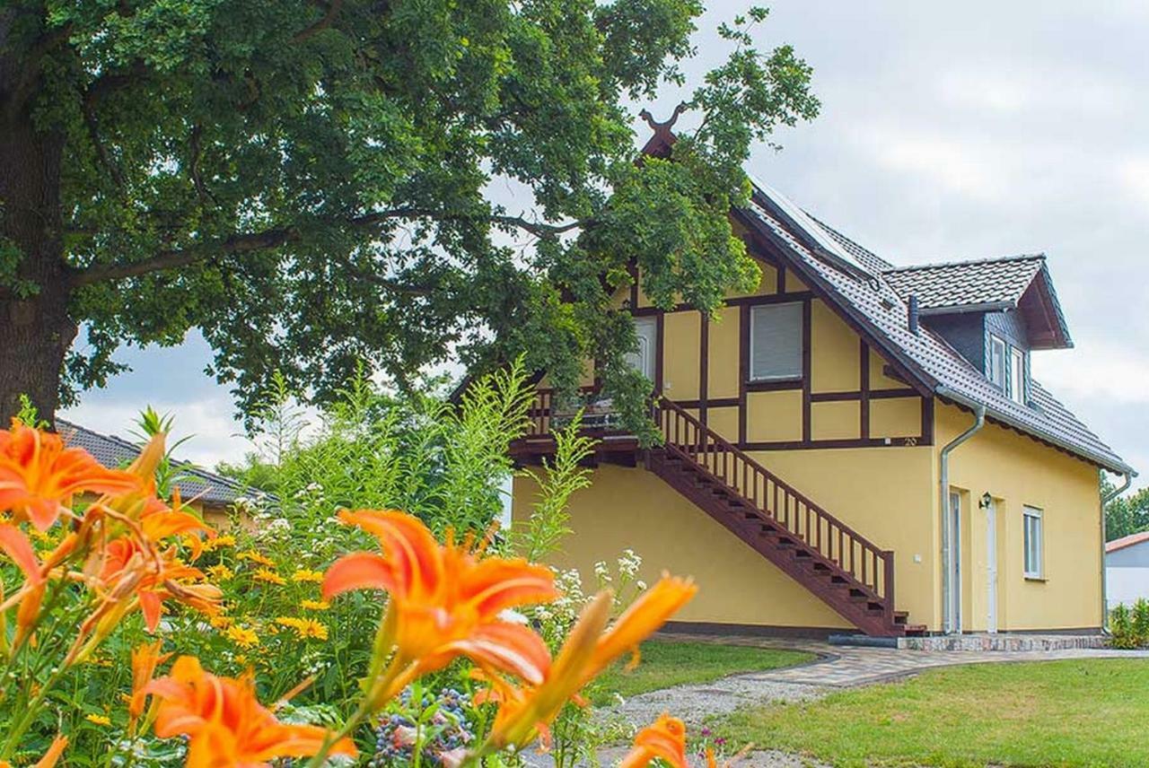 Ferienwohnungen Am Roten Nil Lübben Exteriör bild